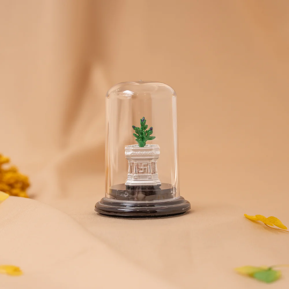 Tulasi Maadam Idol - Image 6